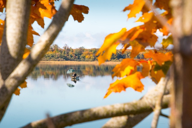 Zobacz ofertę sprzedażową, zawierającą różnego typu herbaty, kawy, jak i dodatki!